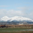 Santa Eufemia